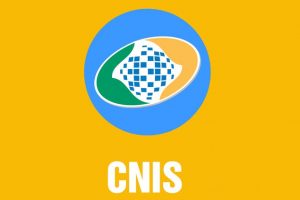 Duplicidade no CNIS de trabalhadores vinculados a pessoa fisica